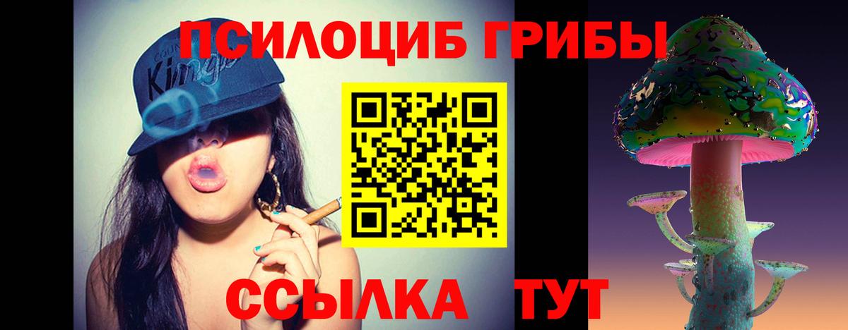 Псилоцибиновые грибы Cubensis Екатеринбург